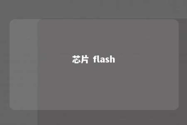 芯片 flash 